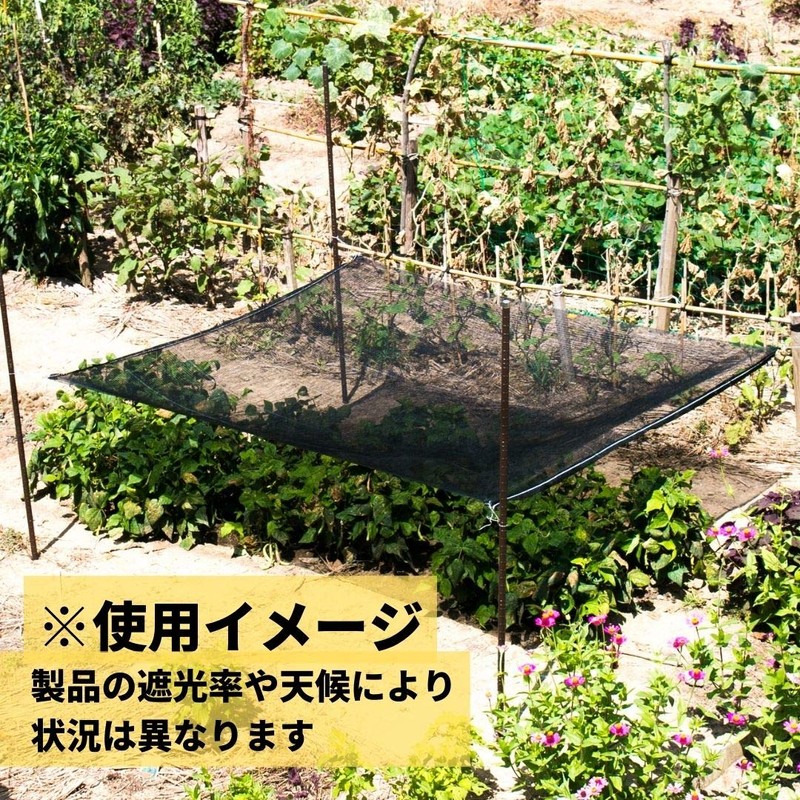 Dio Kasei Blackout Net, Dionet 810, Karami Weave, Black, 60%
