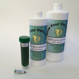 Algae Research Supply Algae Culture Thalassiosira pseudonana, Perfect for School Science Fairs/Projects, Experiments & Classrooms (1000mL)