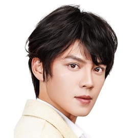 TefuRe MENTM-001-Db Men's Professional Short Medical Wig, Simple, Heat Resistant, Fiber, Frosted, Wig, Net Included, One Size Fits Most, Wig, Natural, Thin Hair, Gray Hair, Growth, Handsome Short