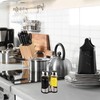 Oil and Vinegar Dispenser Set with Stainless Steel Holder,Clear Glass