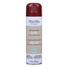 MARTHA STEWART Paint & Primer 8oz Spray Paint, Gloss Chipotle