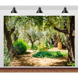 Loccor 9x6ft Fabric Jerusalem Olive Garden Backdrop Ancient Gethsemane Garden Olive Grove Trees Jerusalem Israel Background Christian Religious Church Banner Decor Photo Props