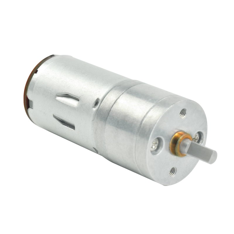 XiaoR GEEK 2Pcs Gear Motor with Encoder DC 12V 100RPM