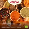 (6 PACK) - Yogi Tea - Green Chai | 17