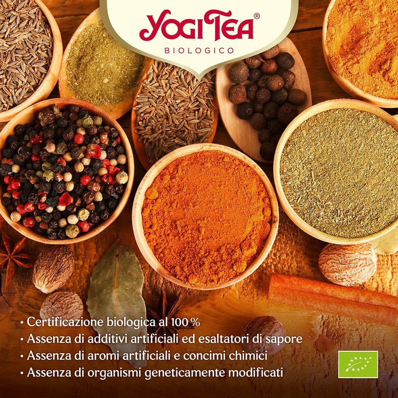 (6 PACK) - Yogi Tea - Green Chai | 17