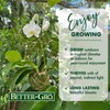 Better-Gro 19” Hanging Kokedama with Phalaenopsis Orchid – Indoor/Outdoor Planter-