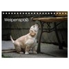 Welpenspaß (Tischkalender 2026 DIN A5 quer), CALVENDO Monatskalender: Niedliche, agile
