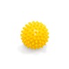 Massage ball with nubs, nub ball, hedgehog ball, arthro sensory