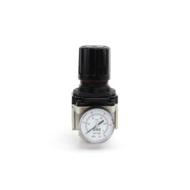 SNS AR4000-N04 Female Thread 1/2 NPT Air Pressure Regulator 0-150 PSI Adjustable,Bracket,Gauge