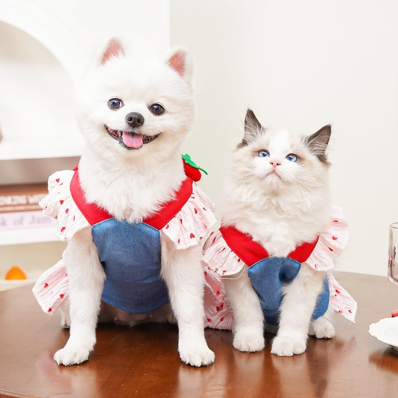 ANIAC Denim Dog Dress Harness with Leash Set Cute Small