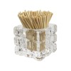 HillSpring Toothpick Holder, Decorative Glass Toothpick Jar with 200 Bamboo