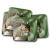 4 Set - Wild Squirrel Coaster - Nature Wildlife Animals