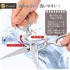 Pro Grade Made in Japan All-Stainless Scissors Detachable PG-411