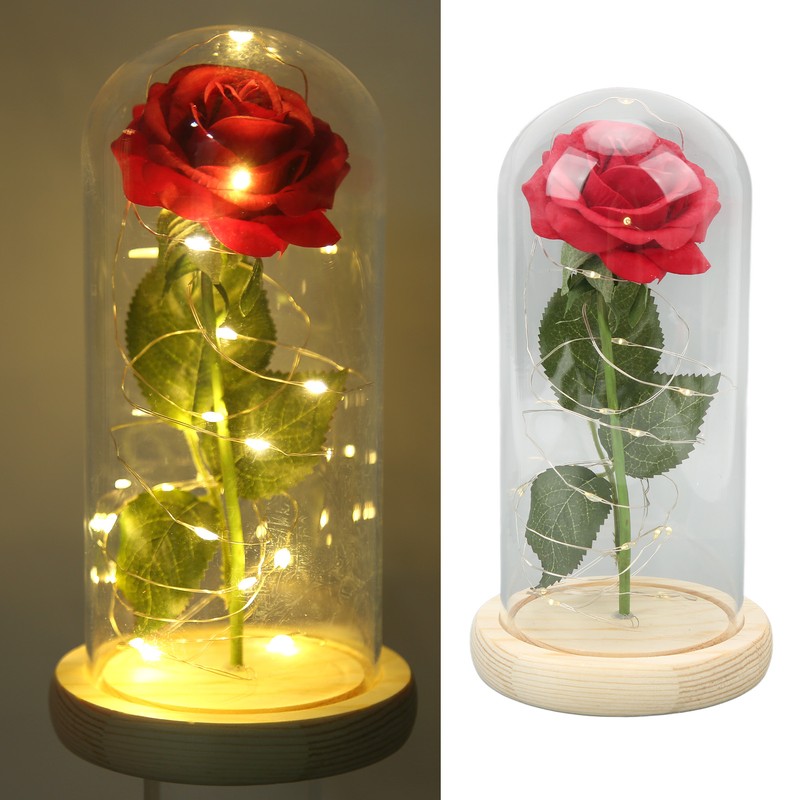 Rose in Glass Dome Lucky Beautiful Symbolism Romantic Enchanted Rose