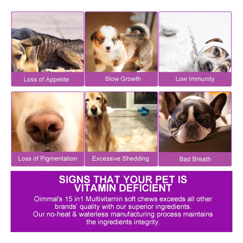 Golosinas Perro 60 Masticable Inmunidad Digestión Toma Fácil