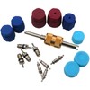 Qblahip 17Pcs Air Conditioning Valve Core Kit | Car &