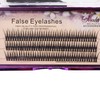 Bodermincer 120pcs D Curl 12D Fish Tail Lash Clusters Natural
