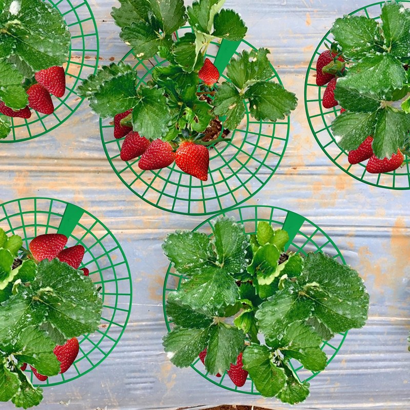 codree 10 Pack Strawberry Plant Supports, Strawberry Plant Stand with