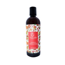 TQL | Shampoo Reparador | Shampoo Vinagre Manzana y Extractos de Plantas | Cabello y cuero cabelludo saludable | Protege el folículo de residuos | Envase 500 ml