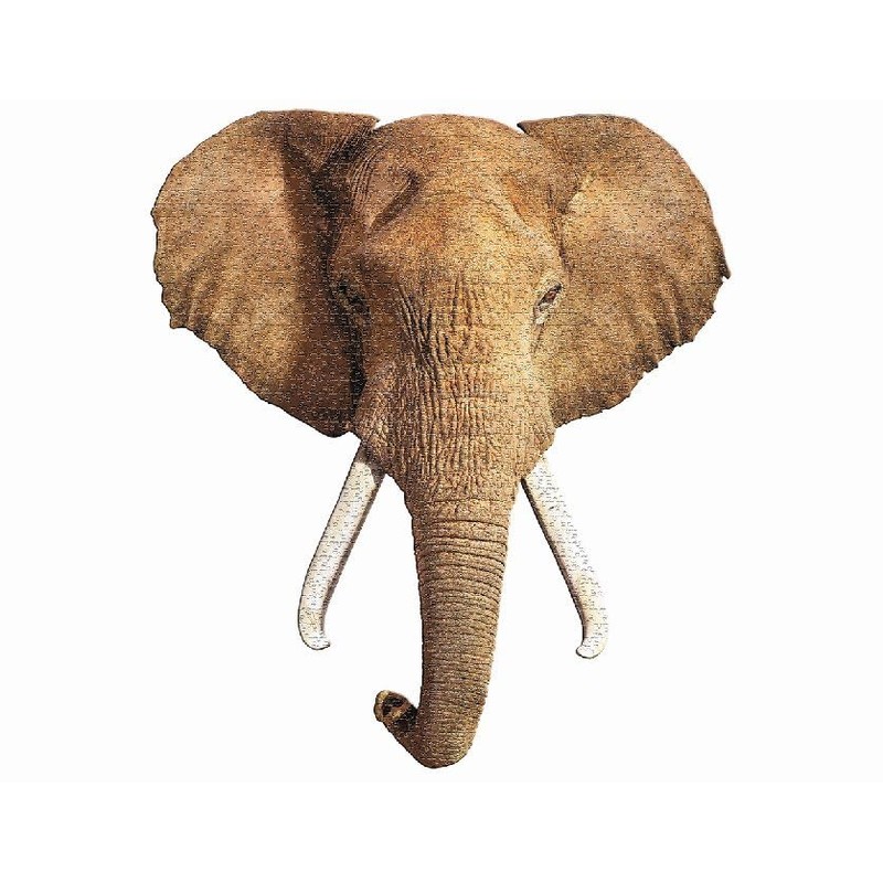 Madd Capp Puzzles - I AM Elephant - 700 pieces