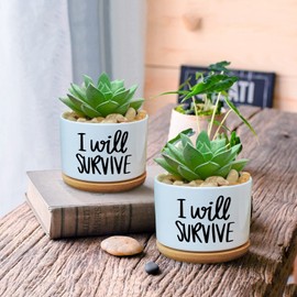 WHING I Will Survive - Funny White Ceramic Engraved Mini Succulent Cactus Planter Pot, 1 Pack 3.5 inch Succulent Indoor Flower Plant Pots with Bamboo Tray for Home Office Windowsill Gifts