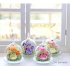 Art Four Season Luminous Rose, Preserved Flower, Rabbit