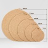 LioCam Stylish Trivet, Set of 2 with Hooks, Heat Resistant,