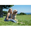 Dog Harness, No Pull Dogs Harness and Multi-Function Leash Set