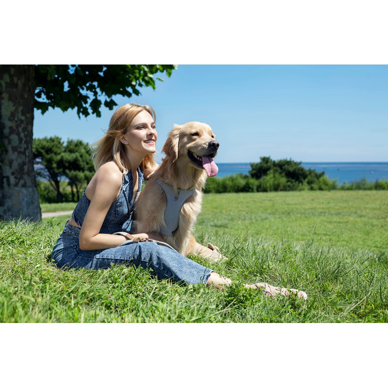 Dog Harness, No Pull Dogs Harness and Multi-Function Leash Set