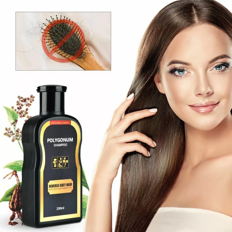 Polygonum Instant Black Hair Shampoo Reverse Gray Shampoo Hair Darkening