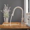 Bathfinesse Kitchen Sink Faucet Brushed Nickel with Pull Down Sprayer