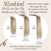 sunny hair Extensiones Cabello 14in Rubio Ceniza Ombre Rubio Bril