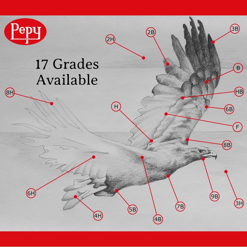 Pepy Graphite Professional Drawing Pencils - Set of 12 8H