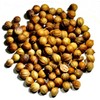 Nelson's Tea - Coriander Seed - Whole (1 oz)