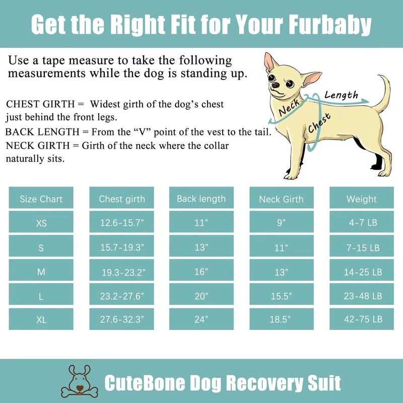 CuteBone Skulls SSF02M-DE Dog Surgery Recovery Suit Cat Surgical One-Piece