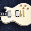 Metallor Humbucker Double Coil Pickups Neck and Bridge Compatible with