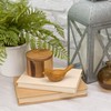 Natural Brown Shiny Comfort Bird 3 x 2 Resin Decorative