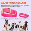 Viper Biothane Heavy Duty Waterproof Dog Collar Strong Coated Nylon