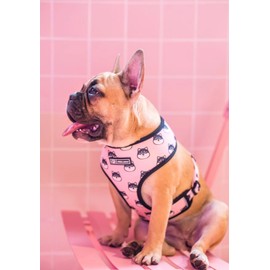 Adjustable Vest Harness for Small to Medium Dogs, French Bulldog Harness, Pink s