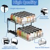 BOIVSHI 2-Tier Spice Rack Organizer, Pull Out Spice Rack for