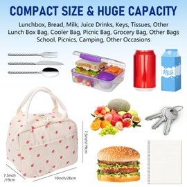 Runmeihe Lunch Bags for Adults, Reusable Women's Insulated Cooler Lunchbag, Small Waterproof Cooler Lunch Box Tote Bag for Work Travel Picnic School