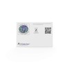 Kefir Starter Cultures - Pack of Freeze-Dried Culture Sachets For