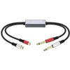 Audio Noise Filter Adapter:Dual 6.35mm 1/4" TRS Male to 2