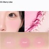 REST & RECREATION Beauty Multi Pairing Powder Cheek 4.6g, shade:04