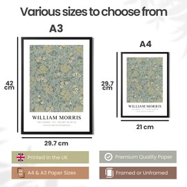 State Media Vision William Morris The Jasmine Poster – Famous Artist Drawings - Stylish Home Decor - Variety of Sizes (The Jasmine, A4 Print Only)