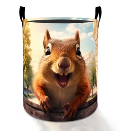 Funny Squirrel Laundry Basket Hamper for Boys Girls Kids Adults, Foldable Waterproof Oxford Clothes Storage Bin, Cute Forest Animal Organizer for Bedroom Bathroom Room Decor 19.7"x15.8"