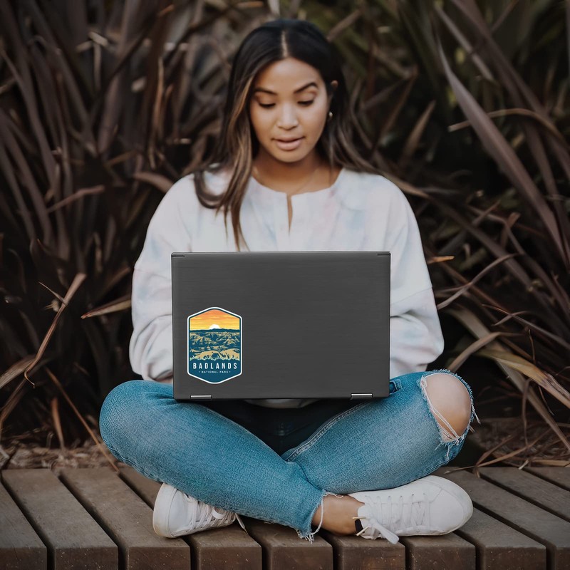 Badlands National Park Sticker Decal Notebook Car Laptop 4"x5.5" (Color)