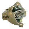 for Digital Projection 35 WQXGA LED Lamp Only (Long Life)