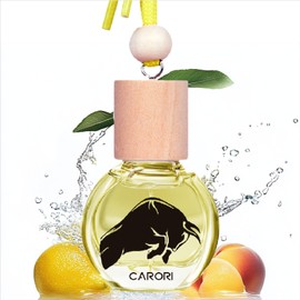 Car Air Freshener Hanging, Essential Oil Diffuser for Car, New Car Smell Air Freshener Cute, Long Lasting Air Freshener for Car, Car Fresheners for Women/Men-Parisian Nights Car scenting