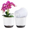 QCQHDU 2 Pack Orchid Pots with Holes for Repotting, Double-Layer